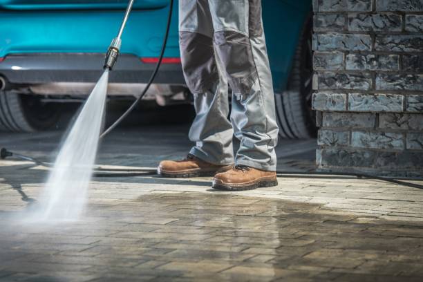 Animal Enclosure Cleaning in North Hudson, WI