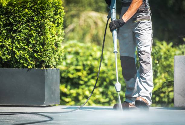 Best Paint Preparation  in North Hudson, WI